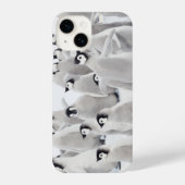 Kutest Baby Animals | Kippen van keizer Penguin iPhone Hoesje (Achterkant)