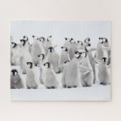 Kutest Baby Animals | Kippen van keizer Penguin Legpuzzel (Horizontaal)