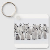 Kutest Baby Animals | Kippen van keizer Penguin Sleutelhanger (Voorkant)