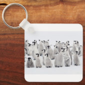 Kutest Baby Animals | Kippen van keizer Penguin Sleutelhanger (Voorkant)