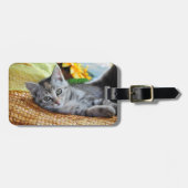 Kutest Baby Animals | Kitten Lounging Bagagelabel (Voorkant horizontaal)