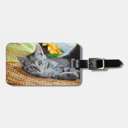 Kutest Baby Animals | Kitten Lounging Bagagelabel (Voorkant horizontaal)