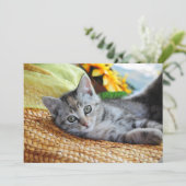 Kutest Baby Animals | Kitten Lounging Bedankkaart (Staand voorkant)