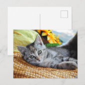 Kutest Baby Animals | Kitten Lounging Briefkaart (Voorkant / Achterkant)