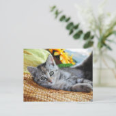Kutest Baby Animals | Kitten Lounging Briefkaart (Staand voorkant)