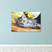 Kutest Baby Animals | Kitten Lounging Canvas Afdruk (Insitu (Houten vloer))