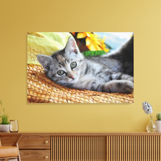 Kutest Baby Animals | Kitten Lounging Canvas Afdruk (Insitu (Woonkamer))