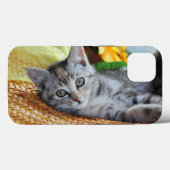 Kutest Baby Animals | Kitten Lounging Case-Mate iPhone Case (Achterkant (horizontaal))