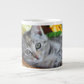 Kutest Baby Animals | Kitten Lounging Grote Koffiekop (Voorkant)