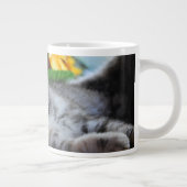 Kutest Baby Animals | Kitten Lounging Grote Koffiekop (Rechts)