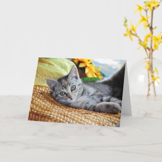 Kutest Baby Animals | Kitten Lounging Kaart (Gele Bloem)