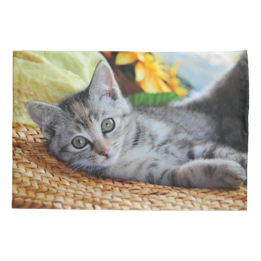 Kutest Baby Animals | Kitten Lounging Kussensloop (Achterkant)