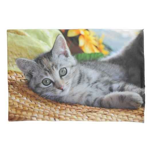 Kutest Baby Animals | Kitten Lounging Kussensloop (Voorkant)
