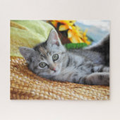 Kutest Baby Animals | Kitten Lounging Legpuzzel (Horizontaal)