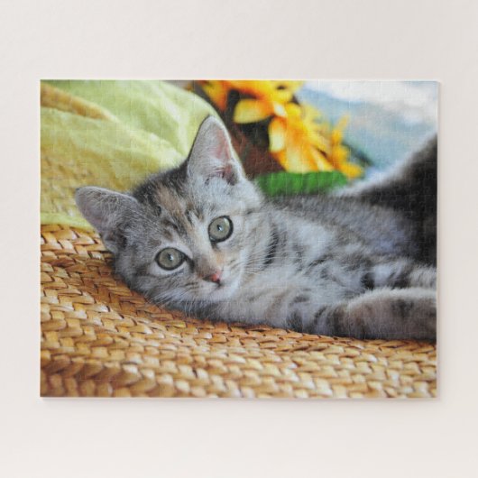 Kutest Baby Animals | Kitten Lounging Legpuzzel (Horizontaal)