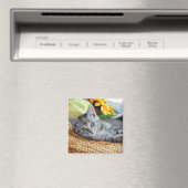 Kutest Baby Animals | Kitten Lounging Magneet (Insitu (Vaatwasser))