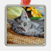 Kutest Baby Animals | Kitten Lounging Metalen Ornament (Voorkant)