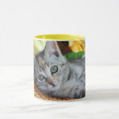 Kutest Baby Animals | Kitten Lounging Mok (Midden)