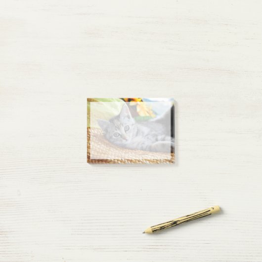 Kutest Baby Animals | Kitten Lounging Post-it® Notes (Op bureau)