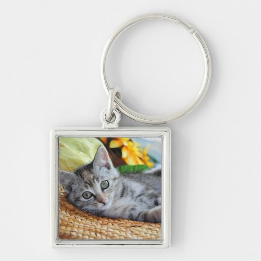 Kutest Baby Animals | Kitten Lounging Sleutelhanger (Voorkant)