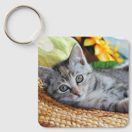Kutest Baby Animals | Kitten Lounging Sleutelhanger (Voorkant)