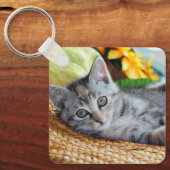 Kutest Baby Animals | Kitten Lounging Sleutelhanger (Voorkant)