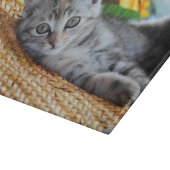 Kutest Baby Animals | Kitten Lounging Snijplank (Hoek)