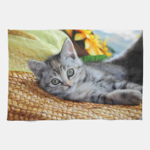 Kutest Baby Animals   Kitten Lounging Theedoek