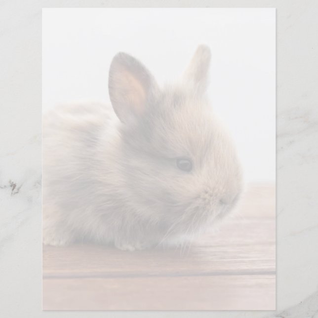 Kutest Baby Animals | Kleine Baby Bunny (Voorkant)