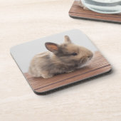 Kutest Baby Animals | Kleine Baby Bunny Bier Onderzetter (Linkerzijde)