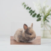 Kutest Baby Animals | Kleine Baby Bunny Briefkaart (Staand voorkant)