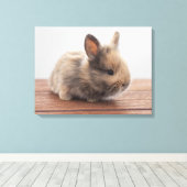 Kutest Baby Animals | Kleine Baby Bunny Canvas Afdruk (Insitu (Houten vloer))