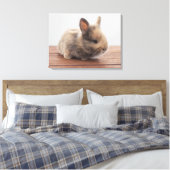 Kutest Baby Animals | Kleine Baby Bunny Canvas Afdruk (Insitu (Slaapkamer))