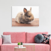Kutest Baby Animals | Kleine Baby Bunny Canvas Afdruk (Insitu (Woonkamer))