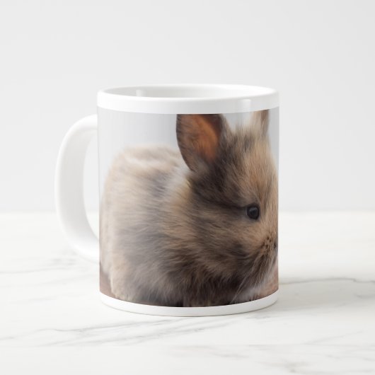 Kutest Baby Animals | Kleine Baby Bunny Grote Koffiekop (Links)