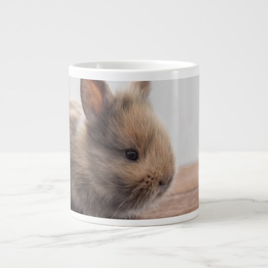 Kutest Baby Animals | Kleine Baby Bunny Grote Koffiekop (Voorkant)