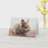 Kutest Baby Animals | Kleine Baby Bunny Kaart (Gele Bloem)