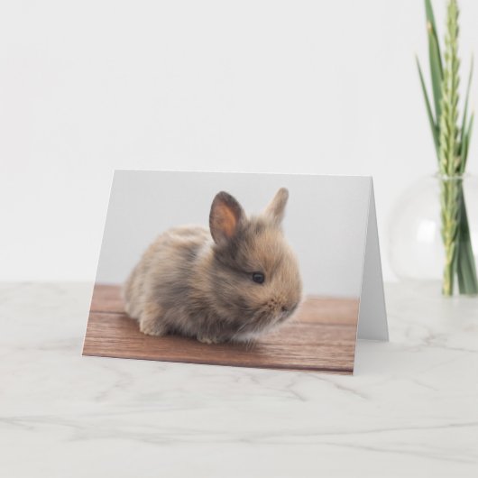 Kutest Baby Animals | Kleine Baby Bunny Kaart (Voorkant)