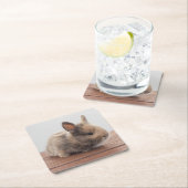 Kutest Baby Animals | Kleine Baby Bunny Kartonnen Onderzetters (Insitu)