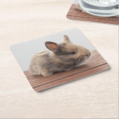 Kutest Baby Animals | Kleine Baby Bunny Kartonnen Onderzetters (Schuin)