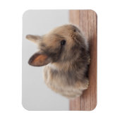 Kutest Baby Animals | Kleine Baby Bunny Magneet (Verticaal)