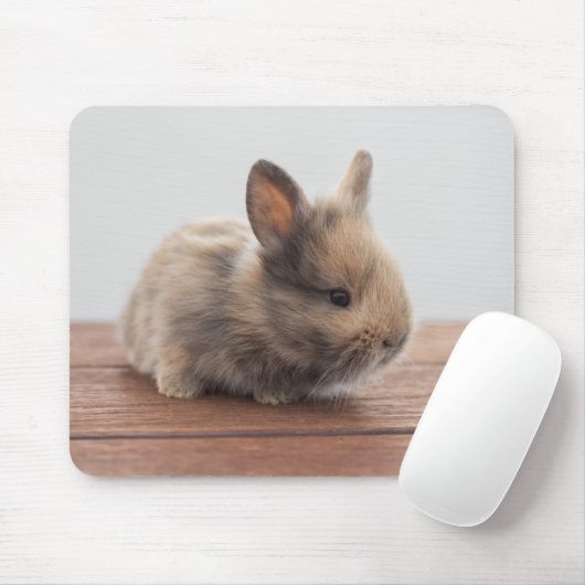Kutest Baby Animals | Kleine Baby Bunny Muismat (Met muis)