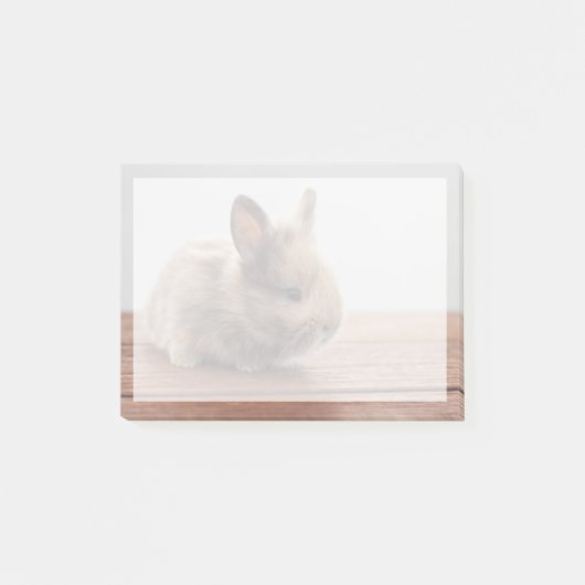 Kutest Baby Animals | Kleine Baby Bunny Post-it® Notes (Voorkant)