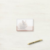 Kutest Baby Animals | Kleine Baby Bunny Post-it® Notes (Op bureau)