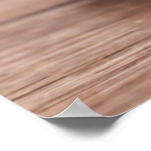 Kutest Baby Animals | Kleine Baby Bunny Poster (Hoek)