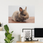 Kutest Baby Animals | Kleine Baby Bunny Poster (Thuiskantoor)