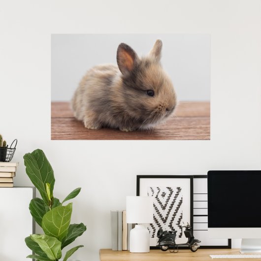 Kutest Baby Animals | Kleine Baby Bunny Poster (Thuiskantoor)