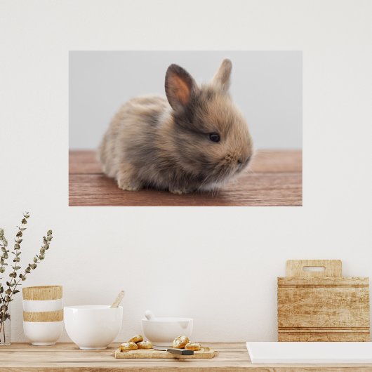 Kutest Baby Animals | Kleine Baby Bunny Poster (Keuken)