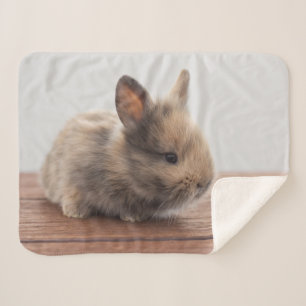 Kutest Baby Animals   Kleine Baby Bunny Sherpa Deken