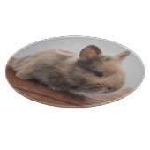 Kutest Baby Animals | Kleine Baby Bunny Snijplank (Hoek)